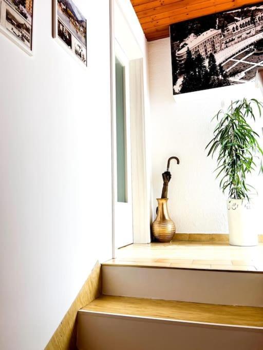 Apartma Kenda 布莱德 外观 照片